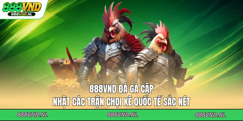 888vnd-da-ga-cap-nhat-cac-tran-choi-ke-quoc-te-sac-net
