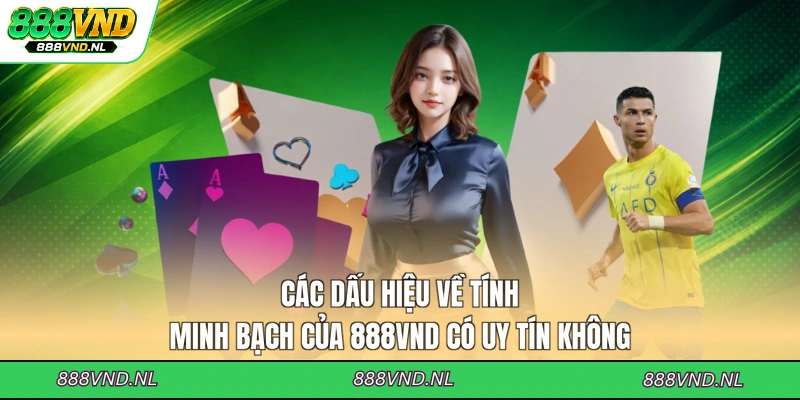 cac-dau-hieu-ve-tinh-minh-bach-cua-888vnd-co-uy-tin-khong
