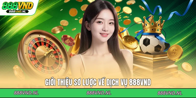 gioi-thieu-so-luoc-ve-dich-vu-888vnd