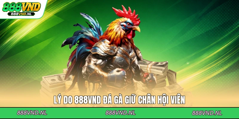 ly-do-888vnd-da-ga-giu-chan-hoi-vien