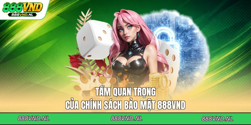 tam-quan-trong-cua-chinh-sach-bao-mat-888vnd