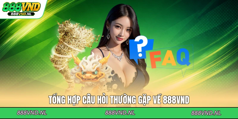 tong-hop-cau-hoi-thuong-gap-ve-888vnd